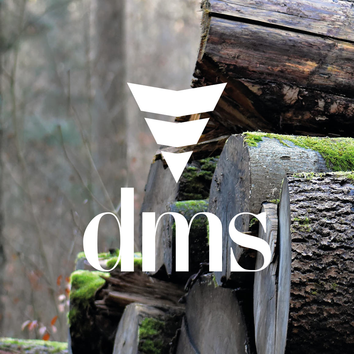 Logo Dms