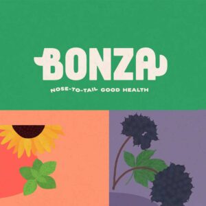 Bonza case study