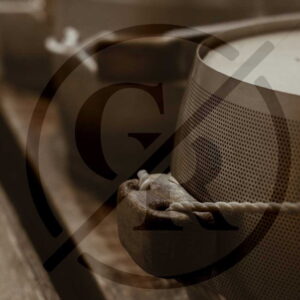 Case study Gavasseto Roncadella